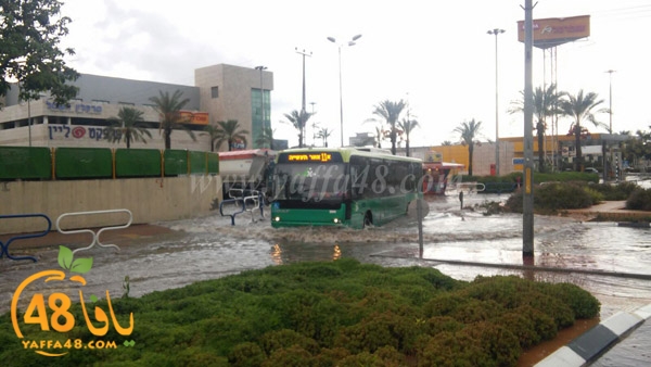 rainingdi yaffa (1).jpg